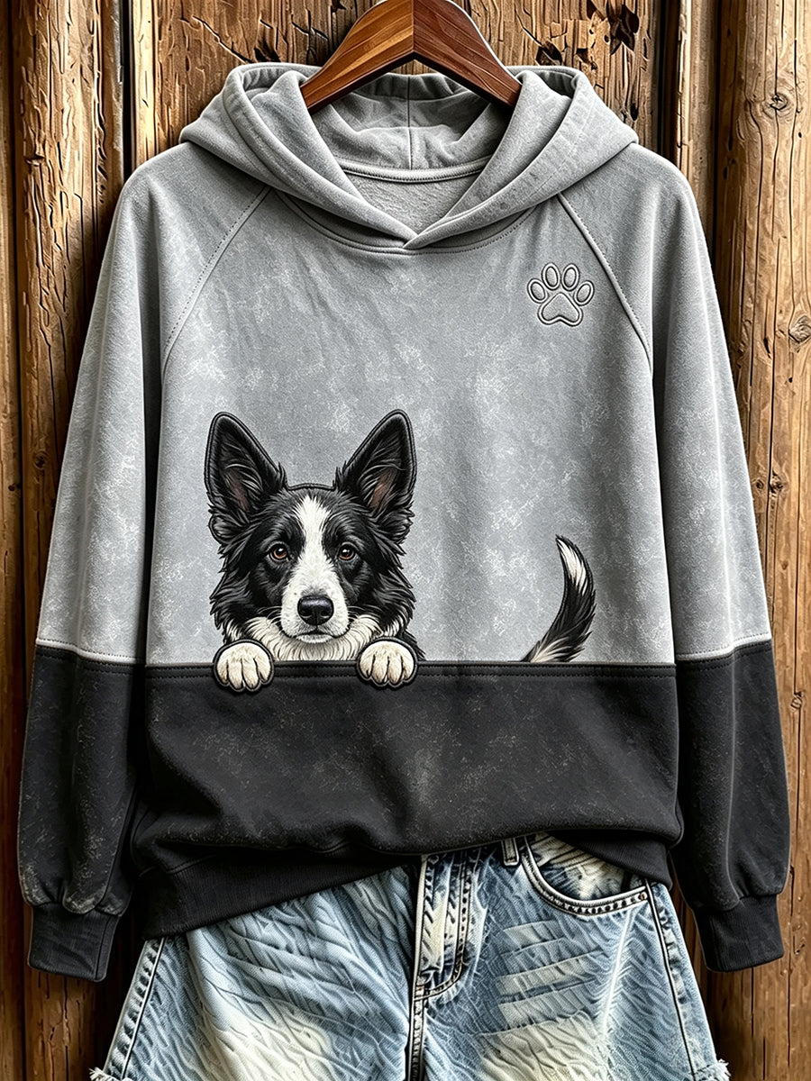 Damen Peeking Border Collie & Paw Print Kontrast farbe Gemütliches Sweatshirt