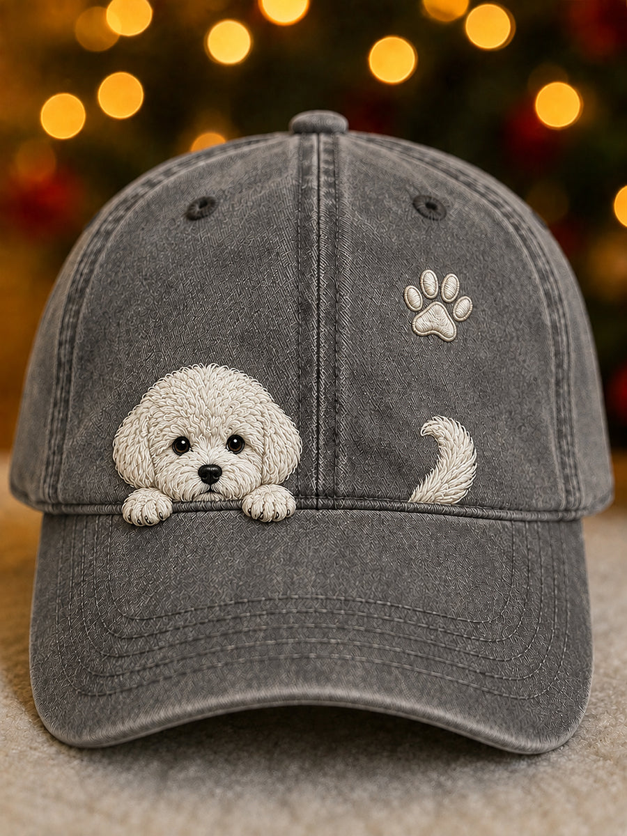 Søt kikende bichon-frise