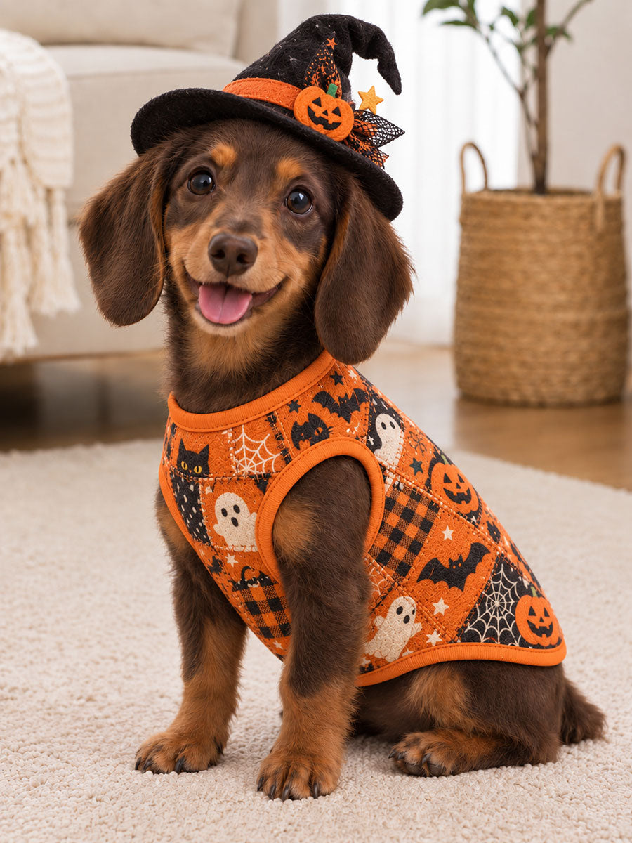 Halloween Pet ærmeløse vest - Velegnet til katte og hunde
