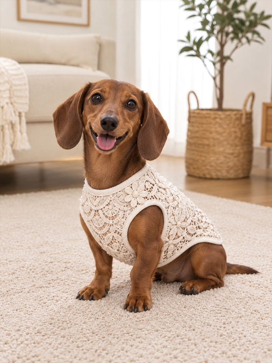 Blomsterblonder Print Hunde Veste