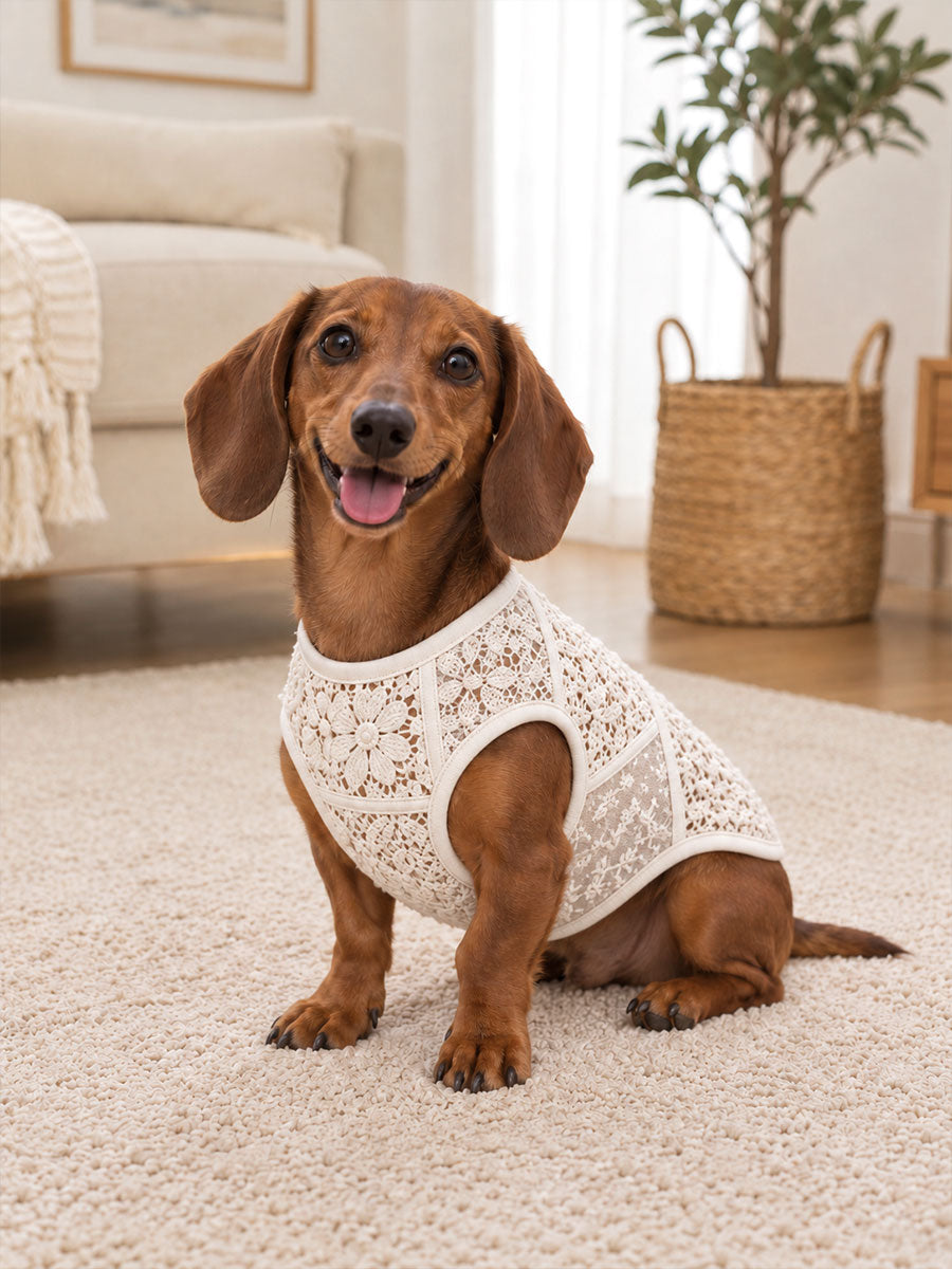 Blomstrede hundeveste med blondeprint