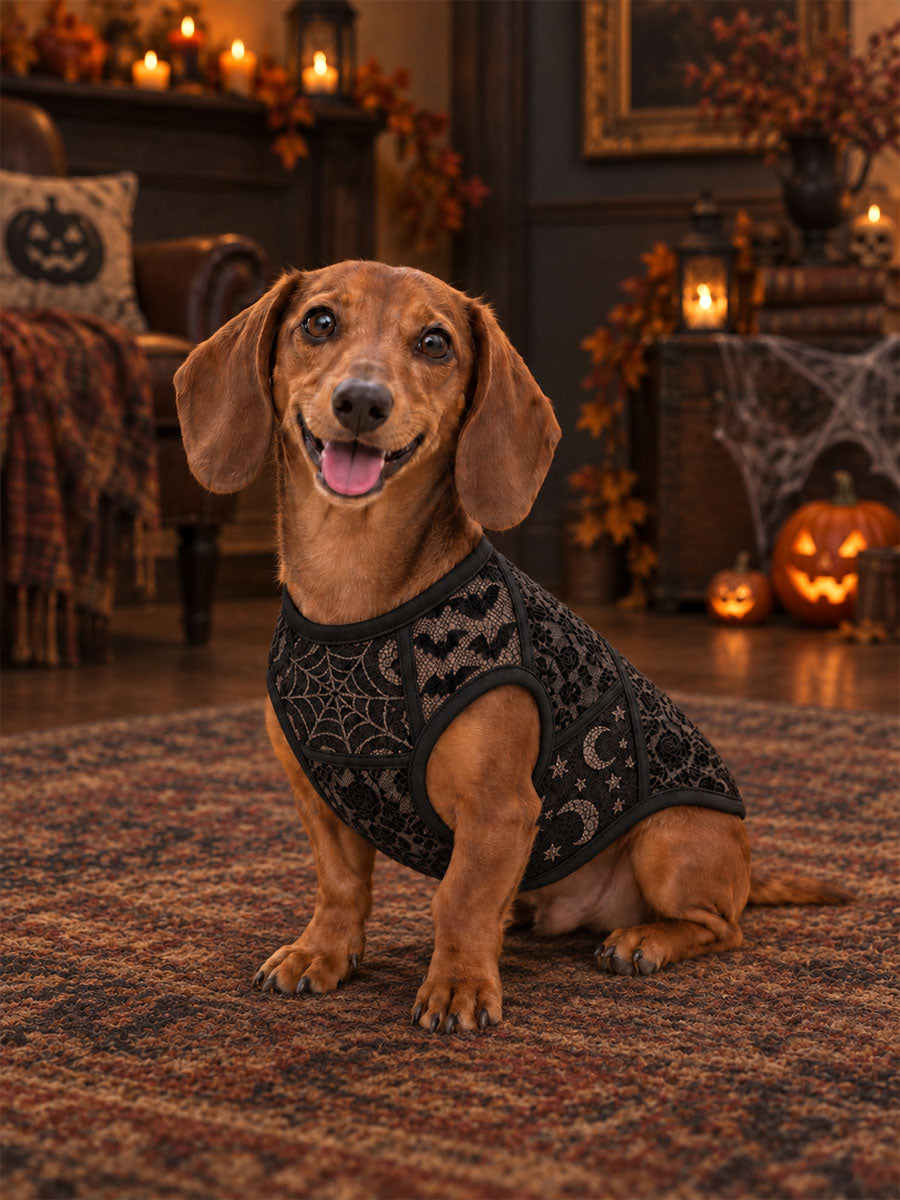 Halloween-print hundeveste