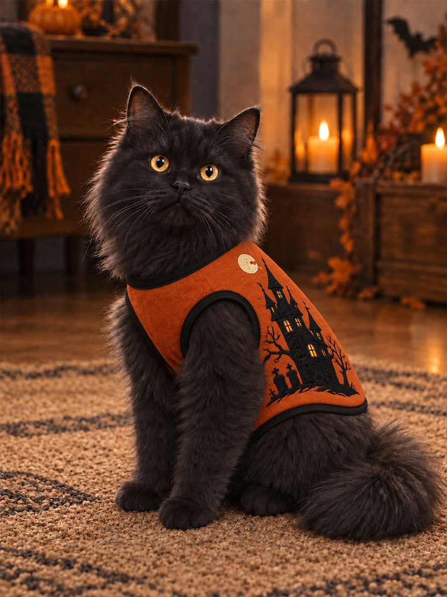 Halloween katteveste